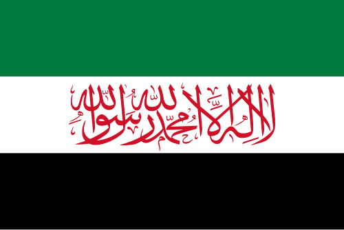 Syrian Salvation Government